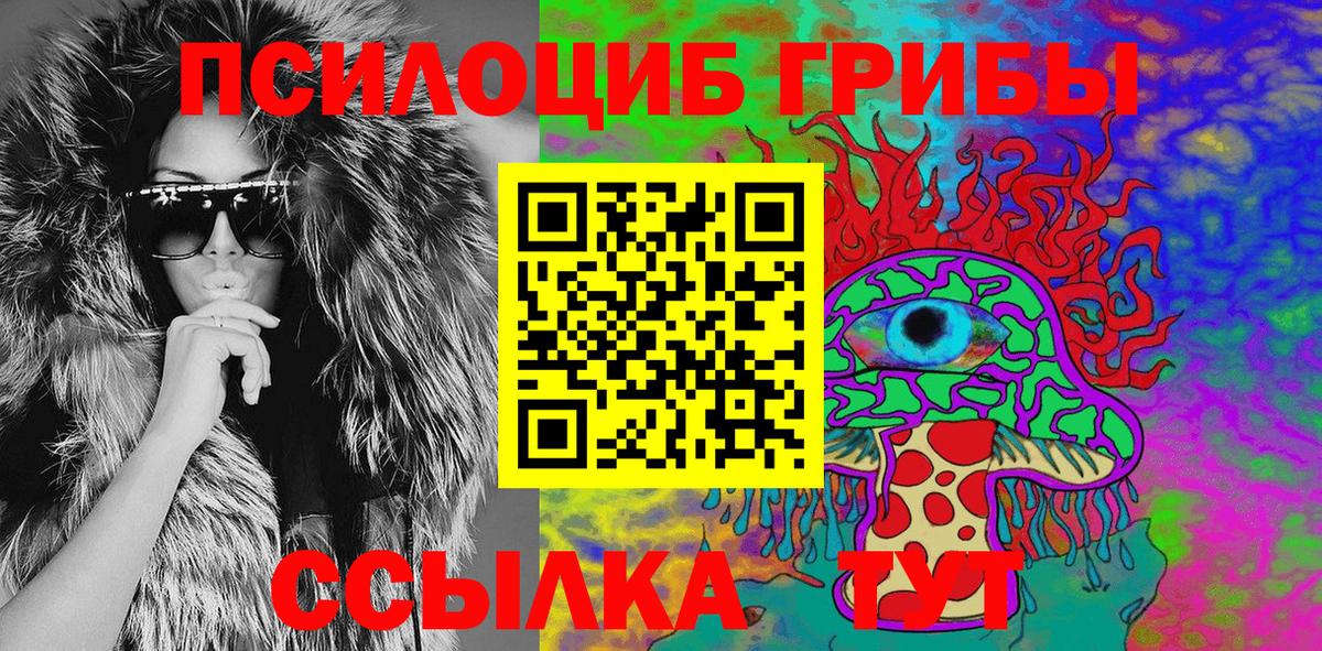 наркотики  Галлюциногенные грибы Psilocybe  Вход с VPN  Буйнакск 